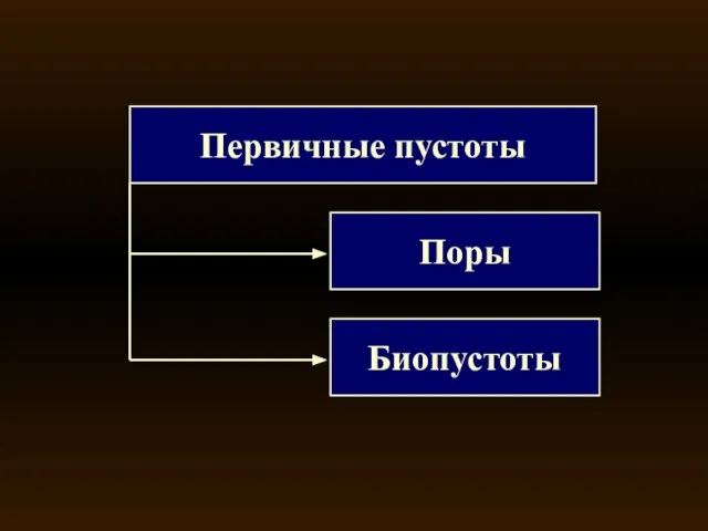 Первичные пустоты Поры Биопустоты