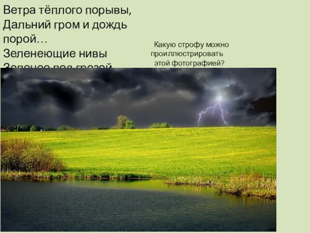 Ветра тёплого порывы, Дальний гром и дождь порой… Зеленеющие нивы Зеленее