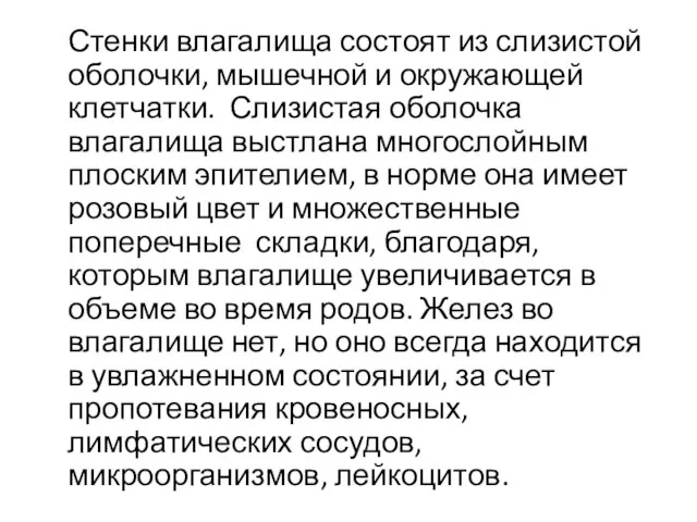 Стенки влагалища состоят из слизистой оболочки, мышечной и окружающей клетчатки. Слизистая