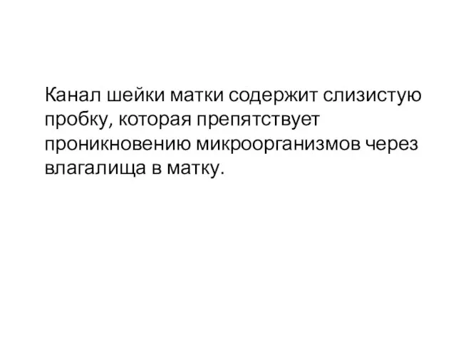 Канал шейки матки содержит слизистую пробку, которая препятствует проникновению микроорганизмов через влагалища в матку.