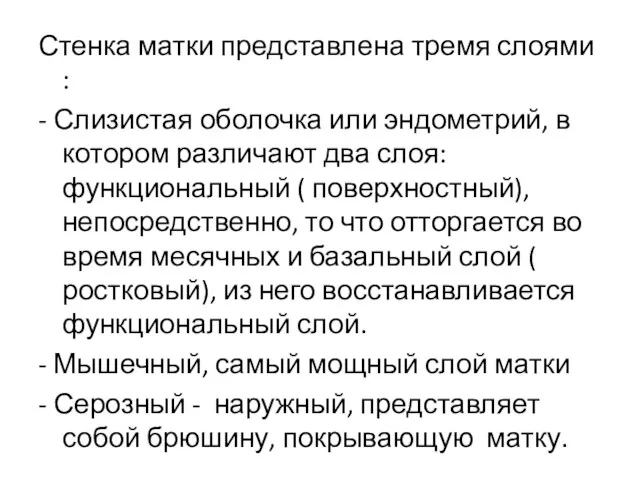 Стенка матки представлена тремя слоями : - Слизистая оболочка или эндометрий,