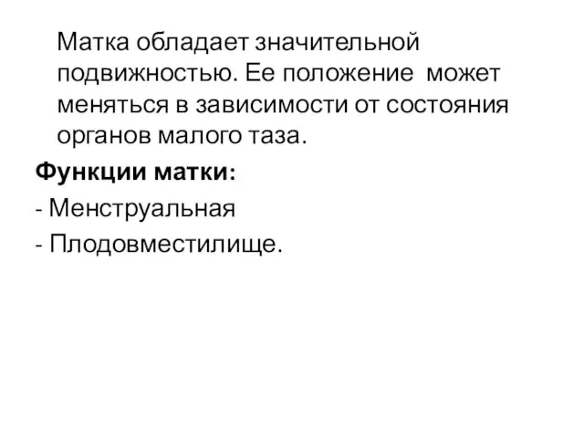 Матка обладает значительной подвижностью. Ее положение может меняться в зависимости от