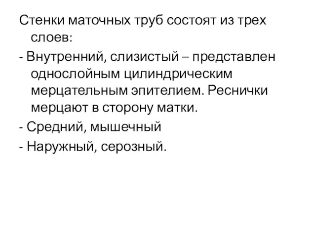 Стенки маточных труб состоят из трех слоев: - Внутренний, слизистый –