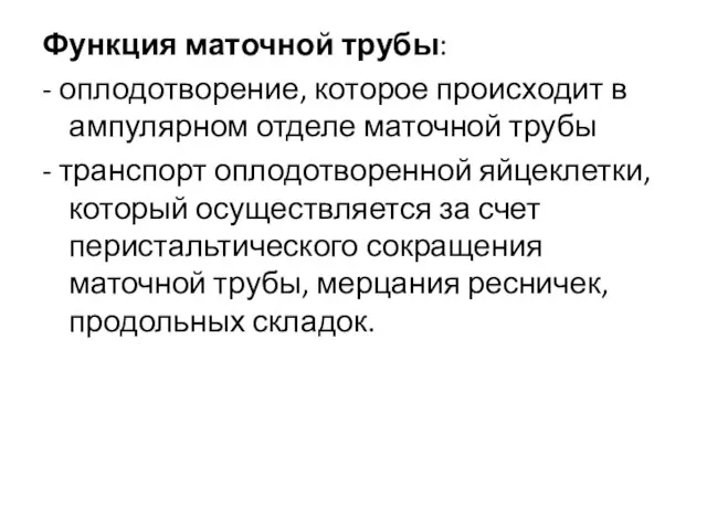 Функция маточной трубы: - оплодотворение, которое происходит в ампулярном отделе маточной