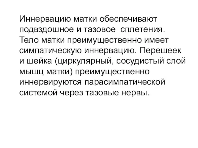 Иннервацию матки обеспечивают подвздошное и тазовое сплетения. Тело матки преимущественно имеет