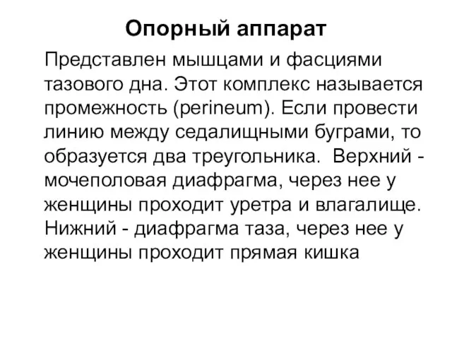 Опорный аппарат Представлен мышцами и фасциями тазового дна. Этот комплекс называется