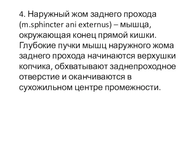 4. Наружный жом заднего прохода (m.sphincter ani externus) – мышца, окружающая