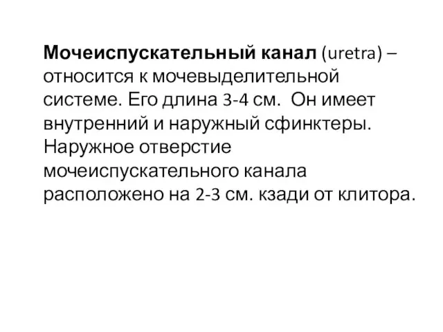 Мочеиспускательный канал (uretra) – относится к мочевыделительной системе. Его длина 3-4