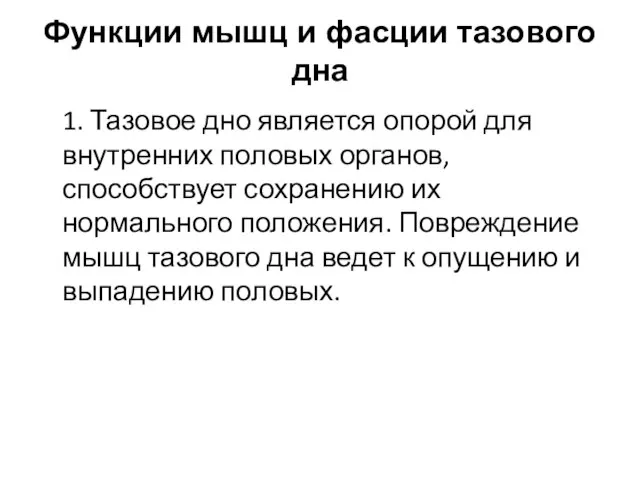 Функции мышц и фасции тазового дна 1. Тазовое дно является опорой