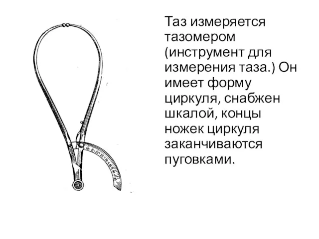 Таз измеряется тазомером (инструмент для измерения таза.) Он имеет форму циркуля,