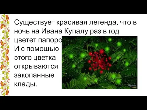 Существует красивая легенда, что в ночь на Ивана Купалу раз в