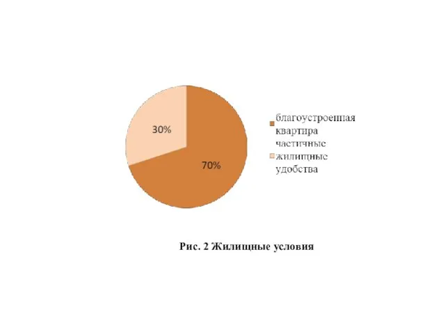 Рис. 2 Жилищные условия