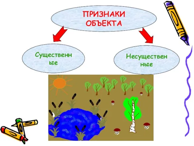 ПРИЗНАКИ ОБЪЕКТА Существенные Несущественные