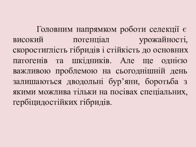 Головним напрямком роботи селекції є високий потенціал урожайності, скоростиглість гібридів і