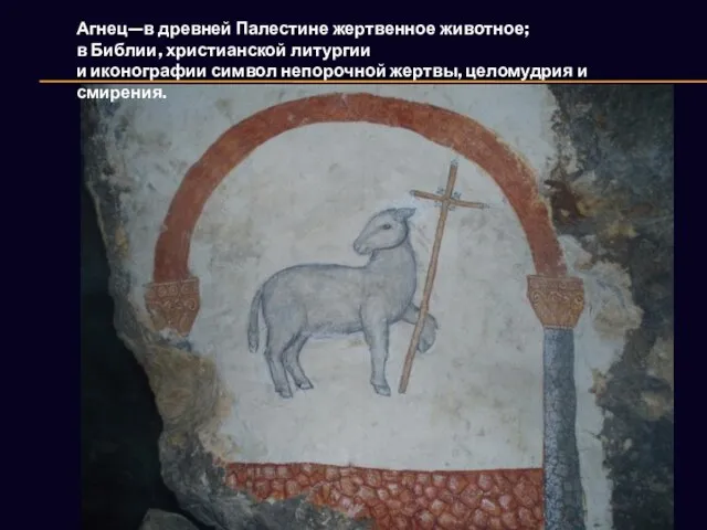 Агнец—в древней Палестине жертвенное животное; в Библии, христианской литургии и иконографии