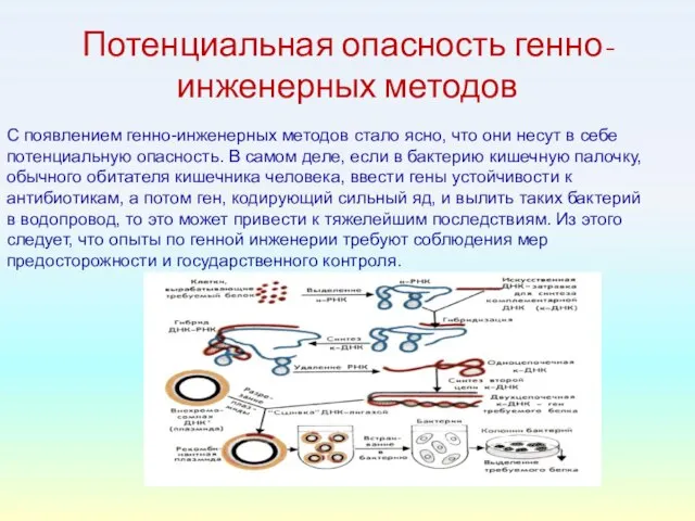 Потенциальная опасность генно-инженерных методов С появлением генно-инженерных методов стало ясно, что