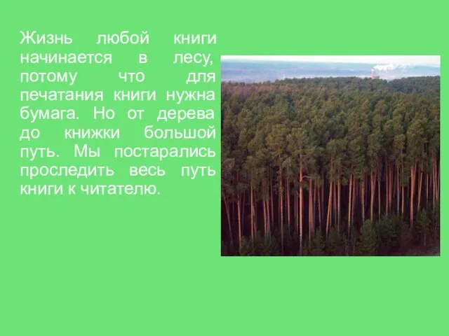 Жизнь любой книги начинается в лесу, потому что для печатания книги