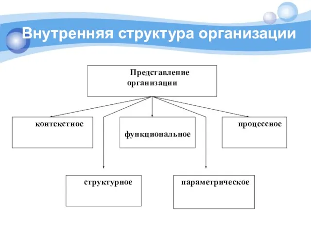 Внутренняя структура организации