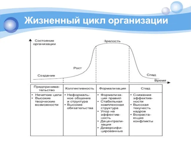 Жизненный цикл организации