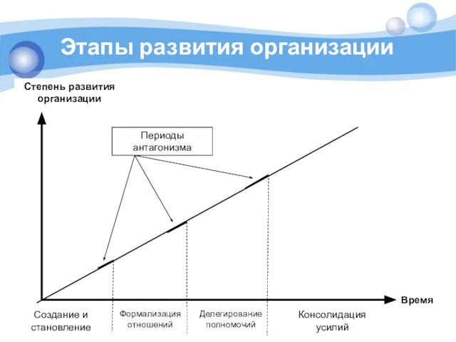 Этапы развития организации