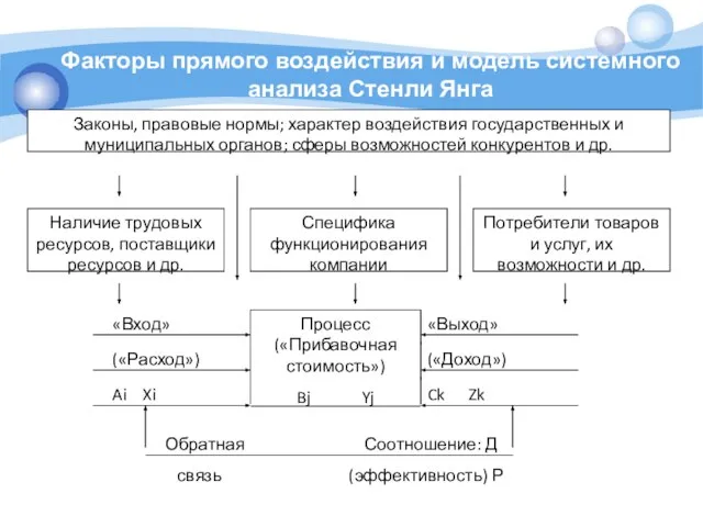 Факторы прямого воздействия и модель системного анализа Стенли Янга