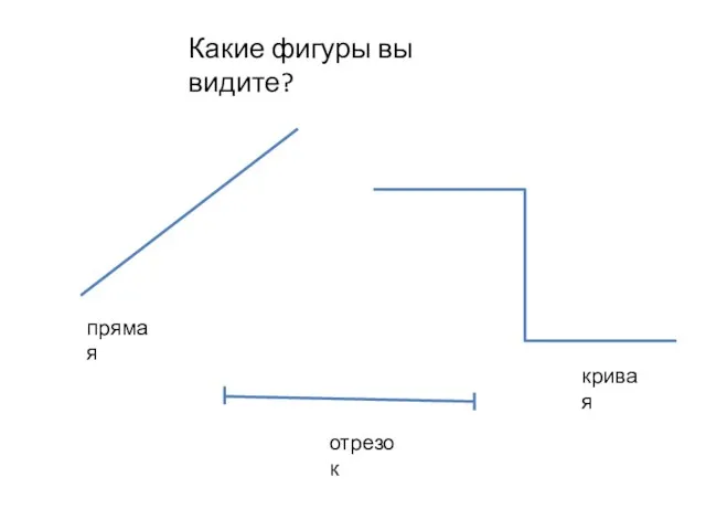 Какие фигуры вы видите? прямая кривая отрезок