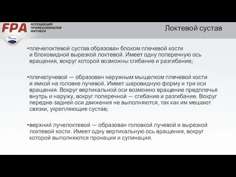 Локтевой сустав плечелоктевой сустав образован блоком плечевой кости и блоковидной вырезкой