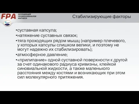 Стабилизирующие факторы суставная капсула; натяжение суставных связок; тяга проходящих рядом мышц