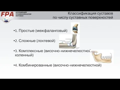 Классификация суставов по числу суставных поверхностей 1. Простые (межфаланговый) 2. Сложные