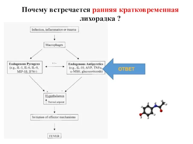 Почему встречается ранняя кратковременная лихорадка ? ОТВЕТ