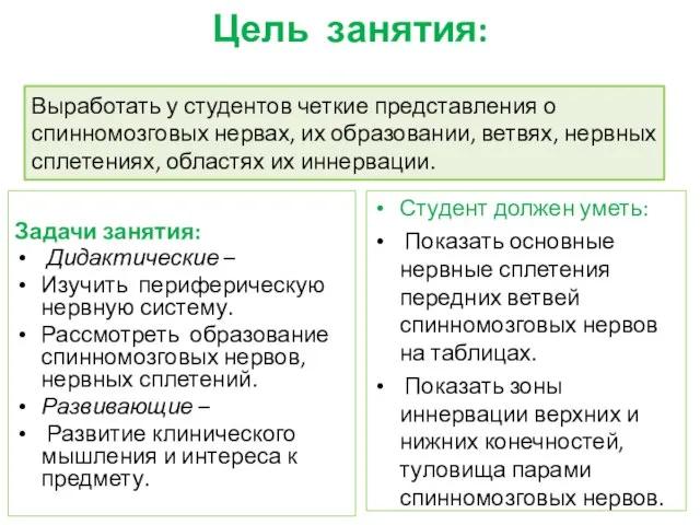 Цель занятия: Задачи занятия: Дидактические – Изучить периферическую нервную систему. Рассмотреть