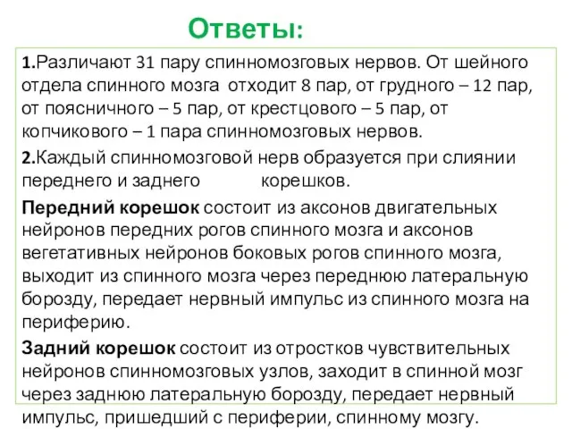 1.Различают 31 пару спинномозговых нервов. От шейного отдела спинного мозга отходит