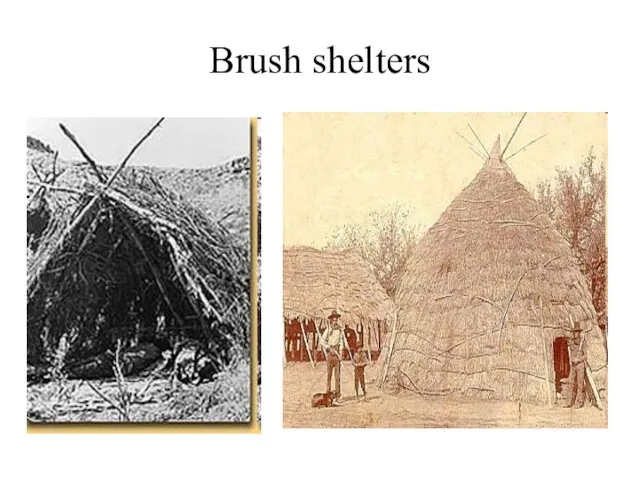 Brush shelters