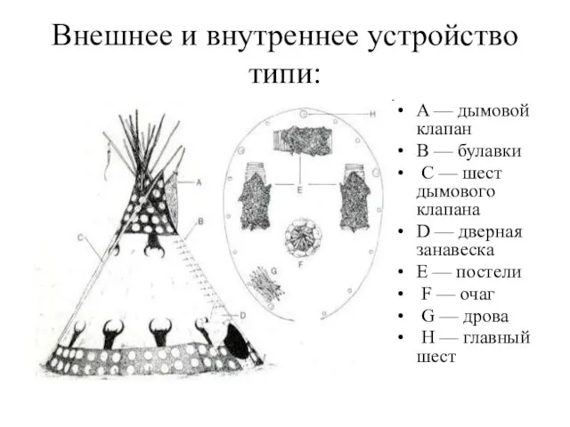 Внешнее и внутреннее устройство типи: A — дымовой клапан B —