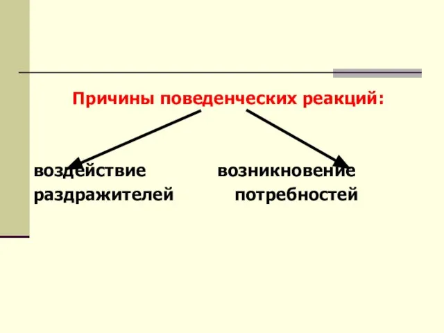 ПОТРЕБНОСТИ Причины поведенческих реакций: воздействие возникновение раздражителей потребностей