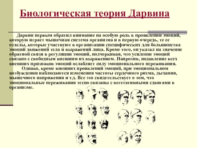 Биологическая теория Дарвина Дарвин первым обратил внимание на особую роль в