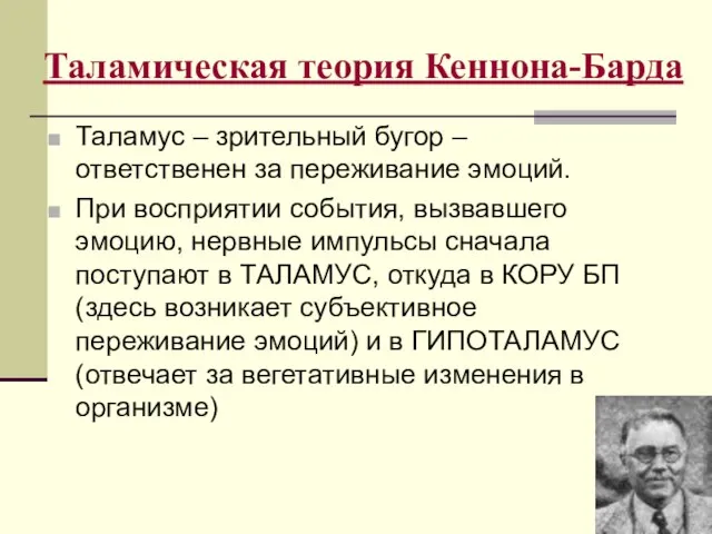 Таламическая теория Кеннона-Барда Таламус – зрительный бугор – ответственен за переживание