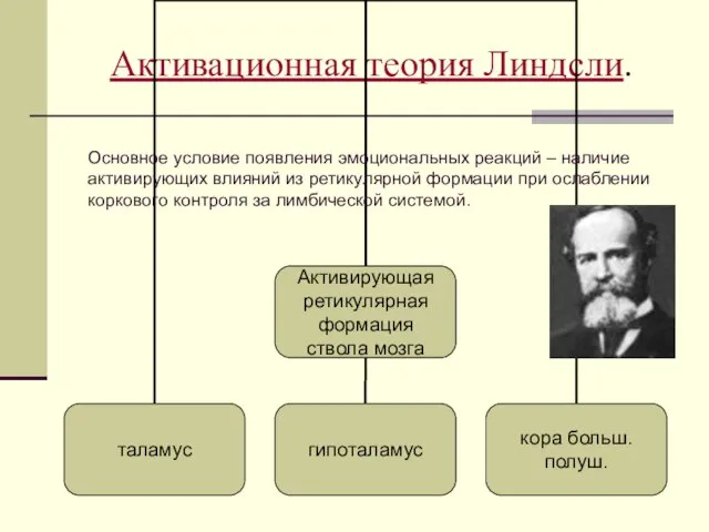 Активационная теория Линдсли. Основное условие появления эмоциональных реакций – наличие активирующих