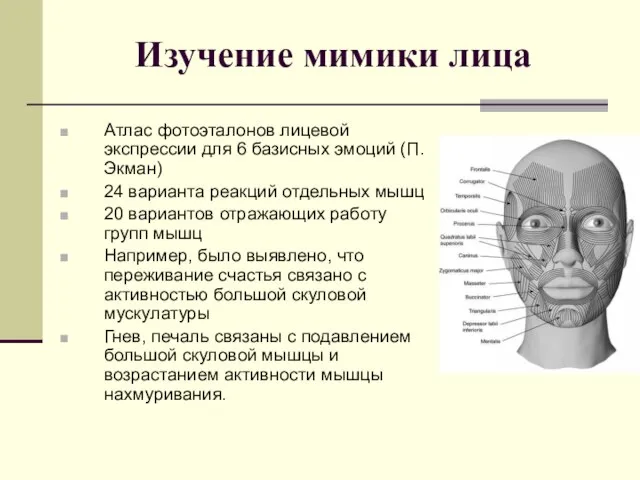 Изучение мимики лица Атлас фотоэталонов лицевой экспрессии для 6 базисных эмоций