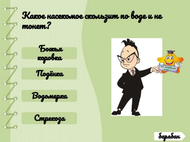 барабан Какое насекомое скользит по воде и не тонет? Божья коровка Подёнка Водомерка Стрекоза