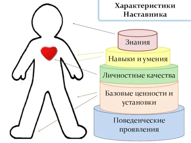 Поведенческие проявления Базовые ценности и установки Характеристики Наставника Личностные качества Навыки и умения Знания