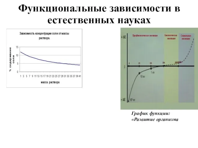 Функциональные зависимости в естественных науках График функции: «Развитие организма