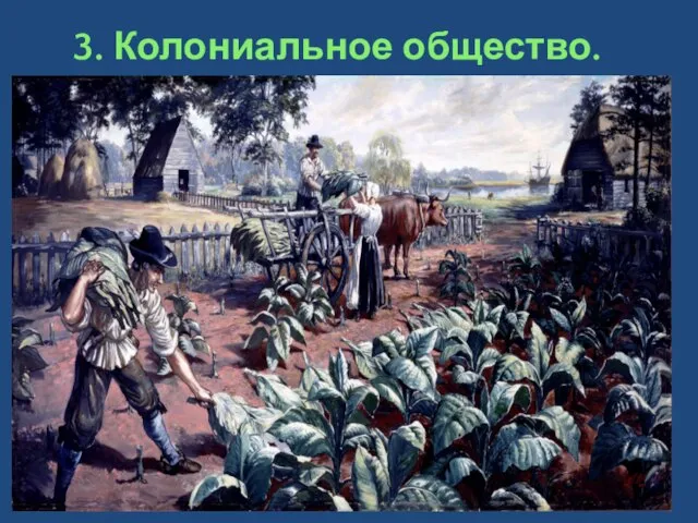 3. Колониальное общество. Плантаторы – землевладельцы (южные колонии) Предприниматели Фермеры (северные