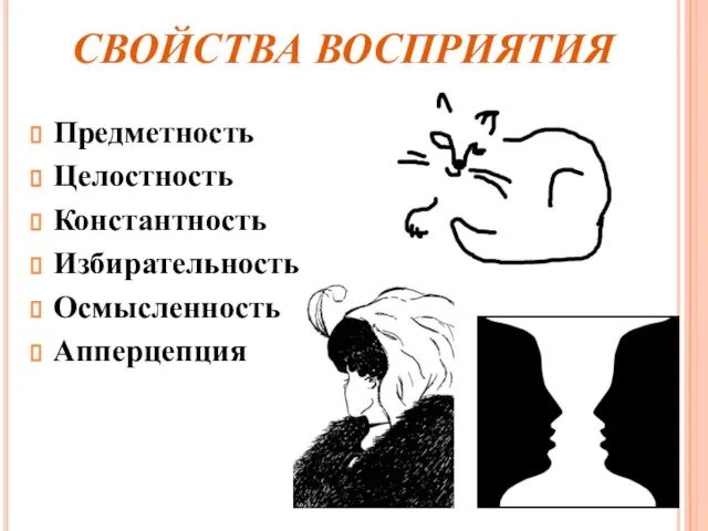 СВОЙСТВА ВОСПРИЯТИЯ Предметность Целостность Константность Избирательность Осмысленность Апперцепция