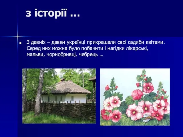 з історії … З давніх – давен українці прикрашали свої садиби