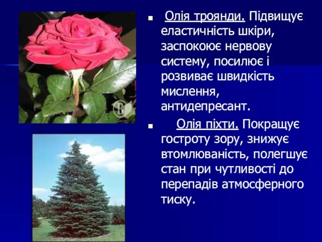 Олія троянди. Підвищує еластичність шкіри, заспокоює нервову систему, посилює і розвиває