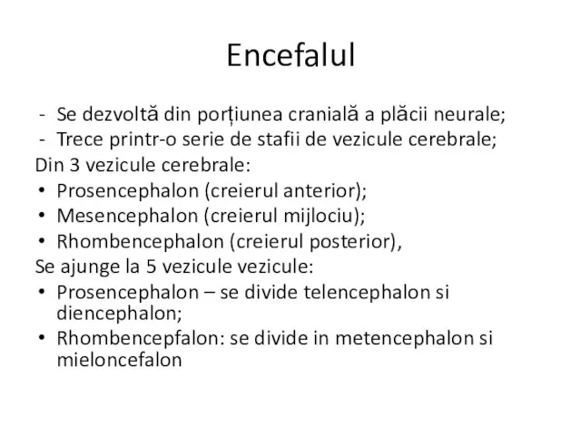 Encefalul Se dezvoltă din porțiunea cranială a plăcii neurale; Trece printr-o