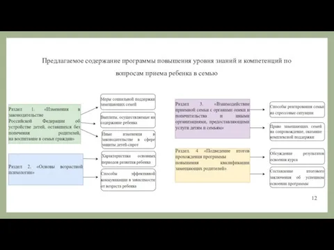 Предлагаемое содержание программы повышения уровня знаний и компетенций по вопросам приема ребенка в семью 12