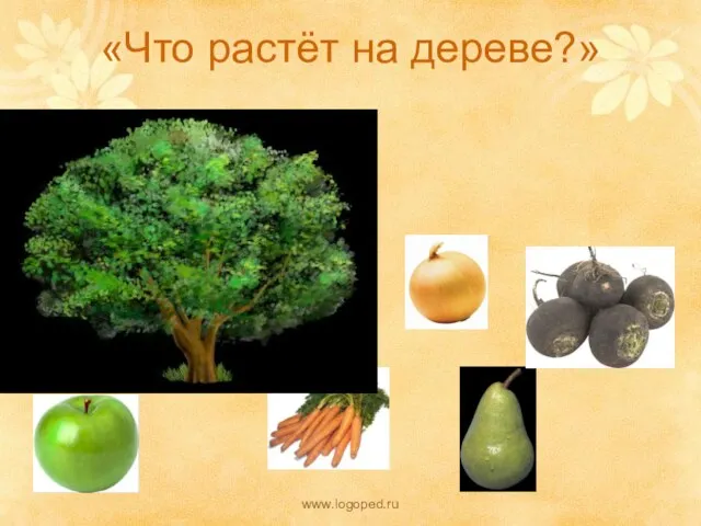 «Что растёт на дереве?» www.logoped.ru