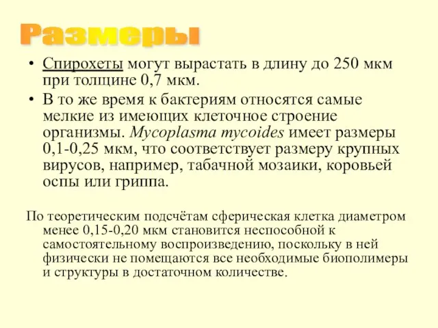 Спирохеты могут вырастать в длину до 250 мкм при толщине 0,7